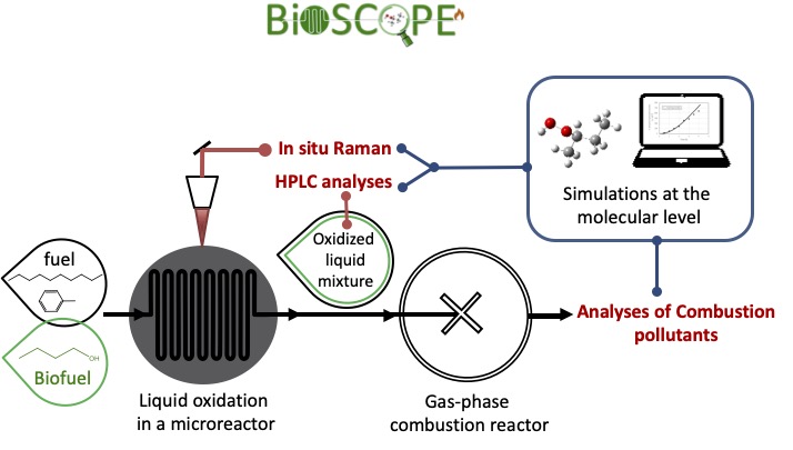 analyse du projet bioscope